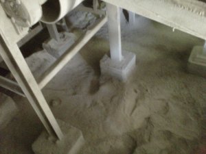 IMG00095-20120611-0913