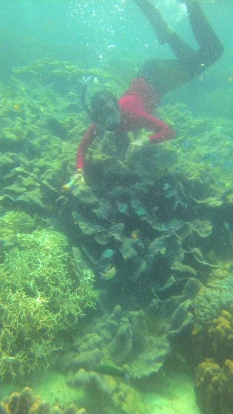underwater pahawang