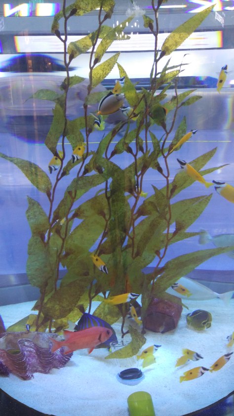 IMG_20150827_121826[1]