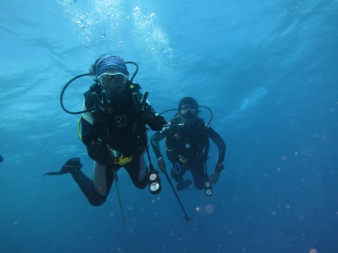 Wakatobi diving