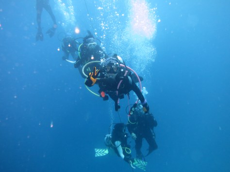 Wakatobi diving