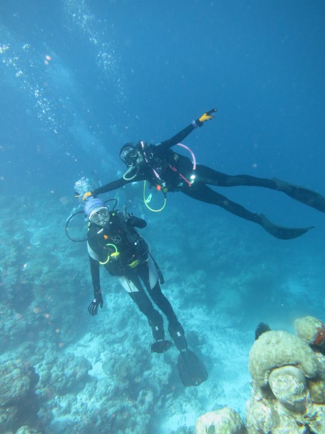 Wakatobi diving
