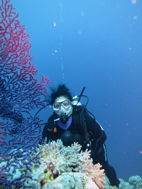 Wakatobi diving