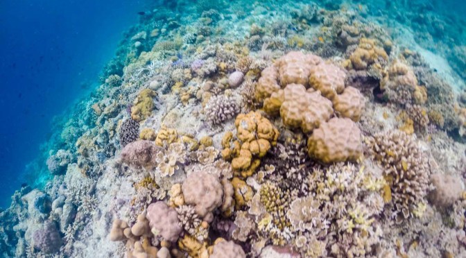 Takabonerate, the most expensive adventure