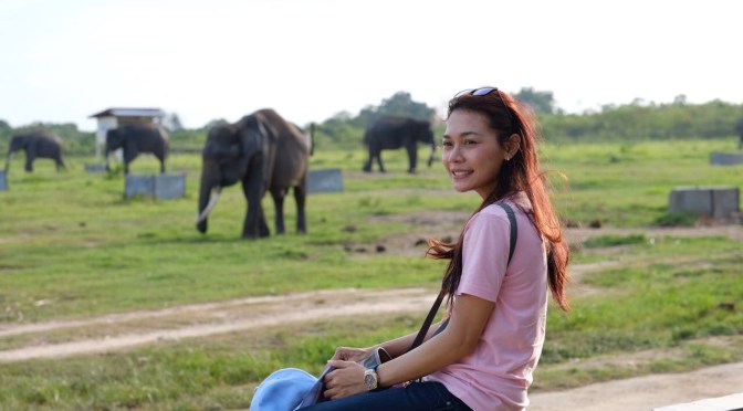 Waykambas, Menikmati Wisata Alam Bersama Gajah, Di Kota Lampung