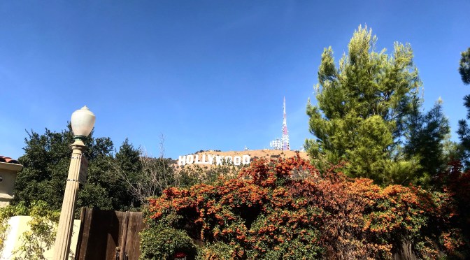 Akhirnya si Bungsu melihat negeri paman Sam..( LA, Houstan, and Lafayette (USA)