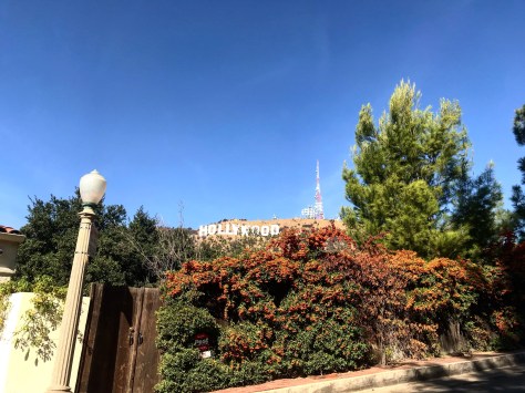 B7E4C667-2AD6-4990-A724-66704A4E95EB